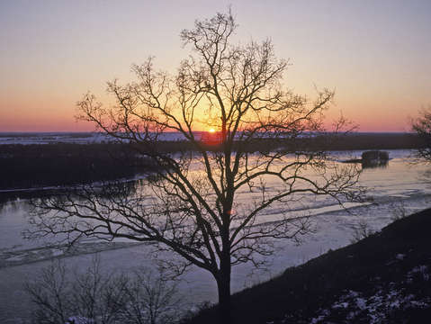 Mississippi river on cold day 55s0112