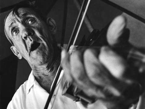 Fiddler