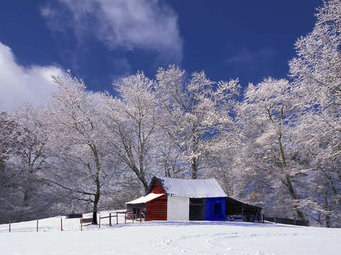 Winter storm barn