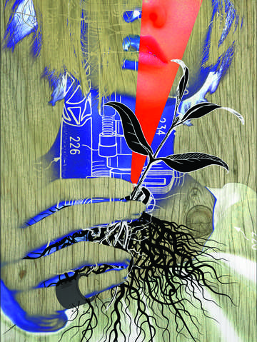 The seed