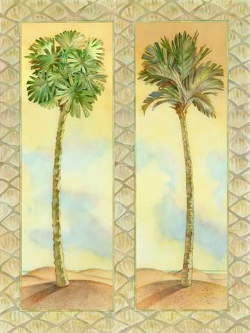Tall palms