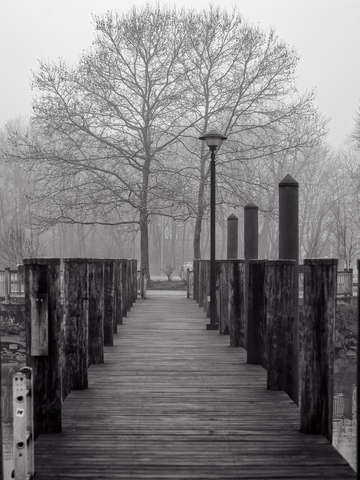Solitude 14