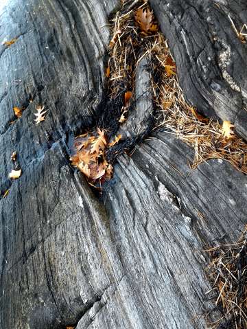 Rocky shore
