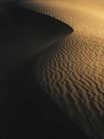 The curve
