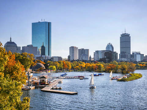 Boston foliage