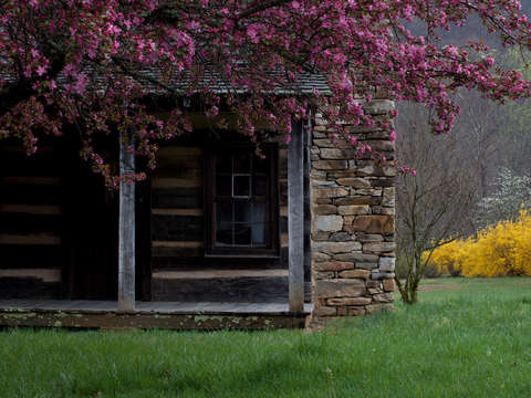 Carson cabin