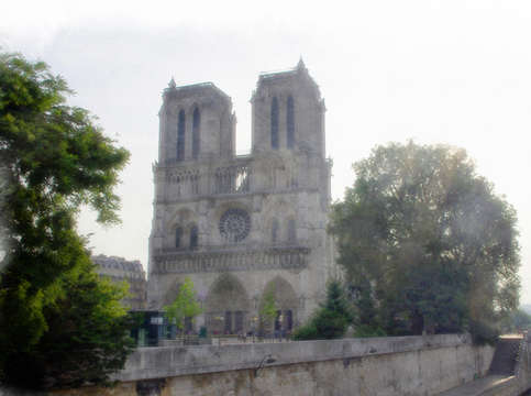 Cathedral of notre dame