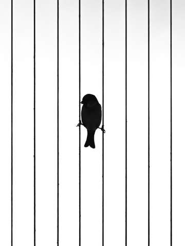 Hanging in the balance