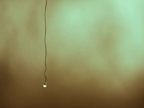 Solitude 15