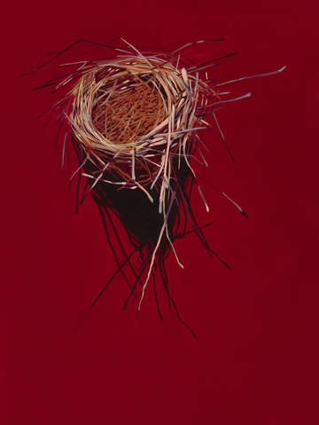Vermillion nest