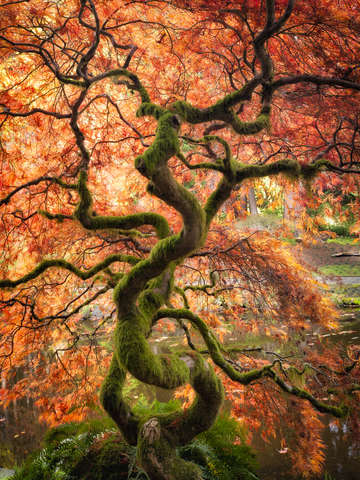 Reaching