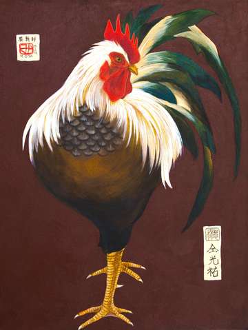 Rooster i