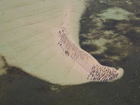 Bird shoal florida aerial