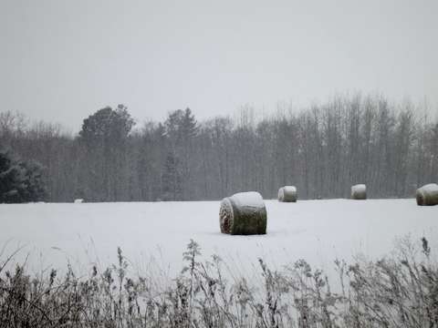 Wintering over