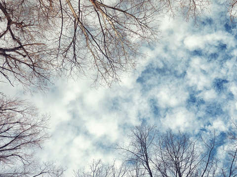 Sky 5