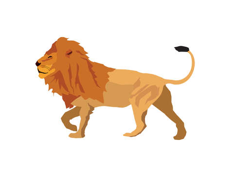 King of the jungle