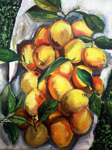 Still life lemons