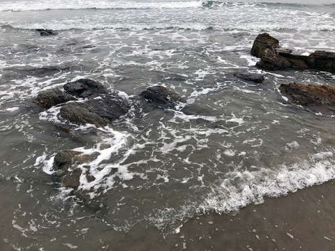 Waves 2