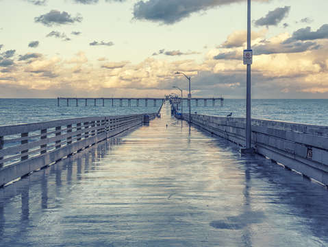 After the rain