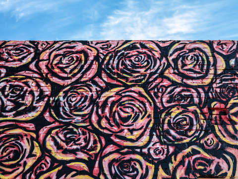 Roses sky
