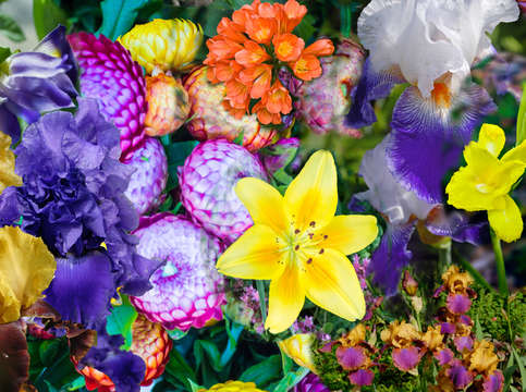 Floral collage 2
