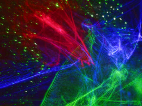 Laser 24