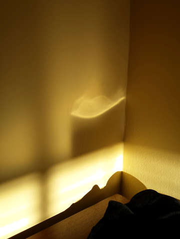 The Morning Throws Light