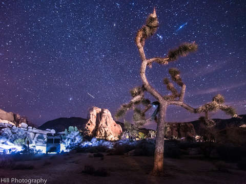 Joshua tree night sky explosion