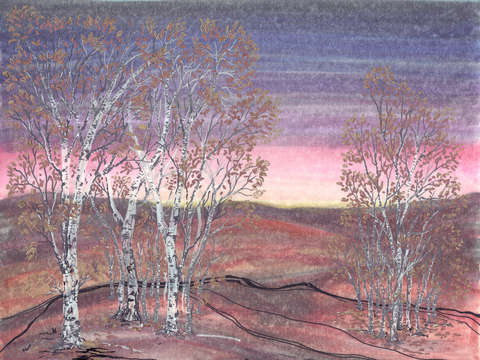 Birches at dawn