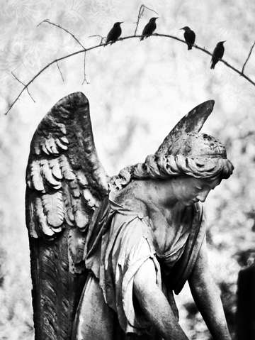 Angel overhead