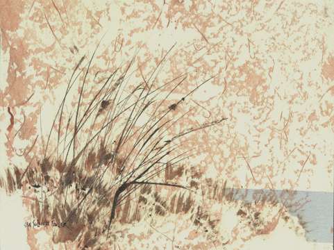 Sea oats 2