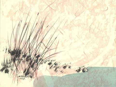 Seaoats 2