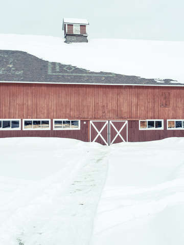 Path to the old barn