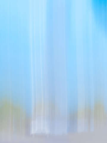 Moving trees 13 triptych center