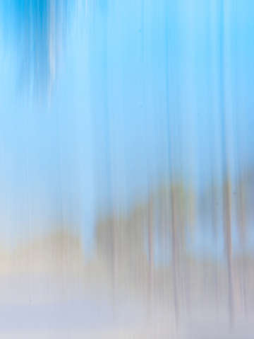 Moving trees 13 triptych right