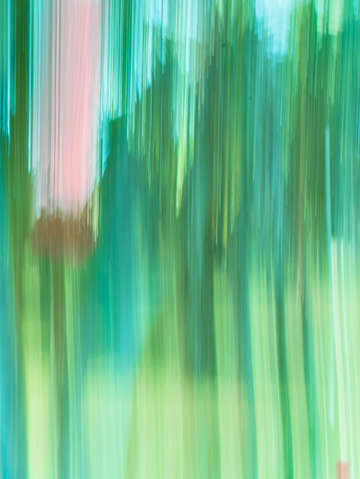 Moving trees 04 portrait format