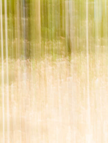 Moving Trees 10 - Portrait Format