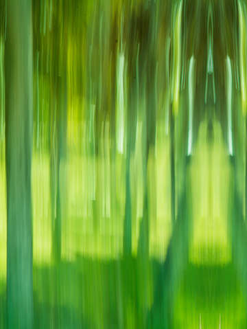 Moving trees 12 portrait format