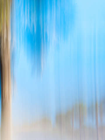Moving Trees 13 - Portrait Format