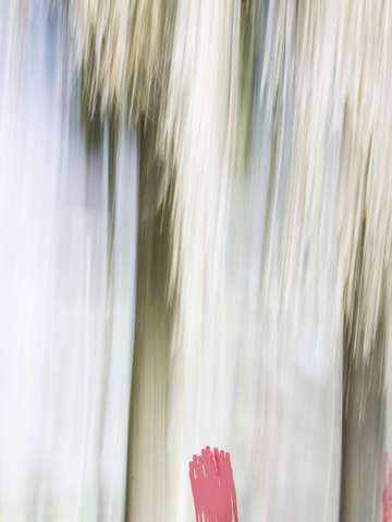 Moving trees 15 portrait format