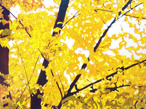 A most colorful season