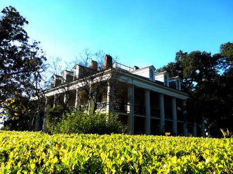 House in the Swamp