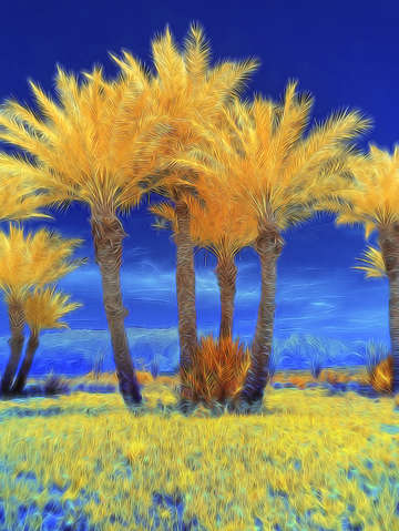 False color infrared palm trees