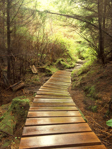 Sitka pathway
