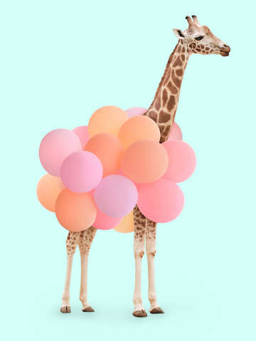 Party giraffe