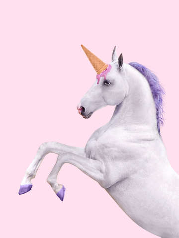 Pink unicorn