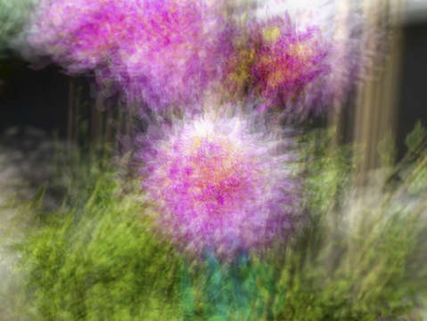 Fuzzy