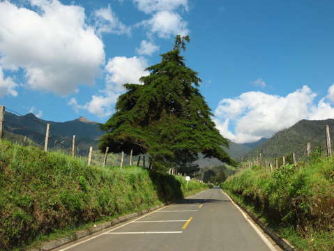 Journey to valle del cocora