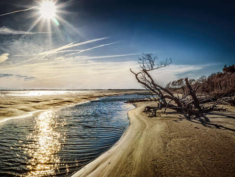 Ripples in the tidal pool