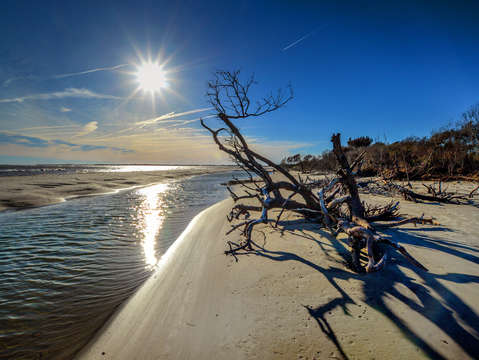 Long shadows and the tidal pond